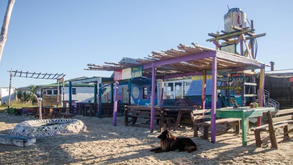 Lobo Hostel Bar Кабо Полонио Екстериор снимка